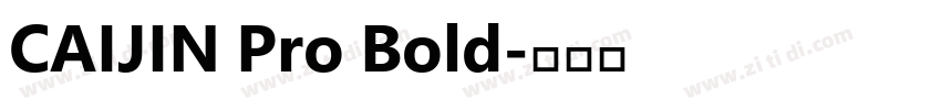 CAIJIN Pro Bold字体转换
